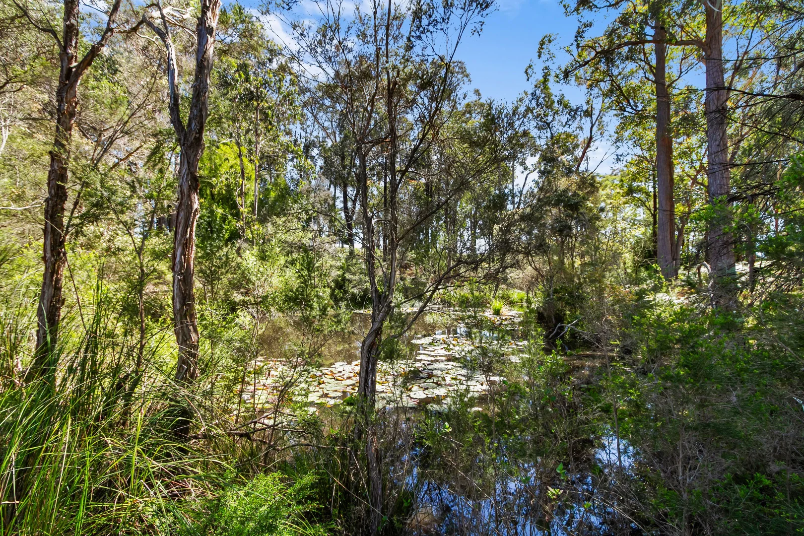 Additional image 29 of 65-73 Mill Point Road, Toorloo Arm VIC 3909