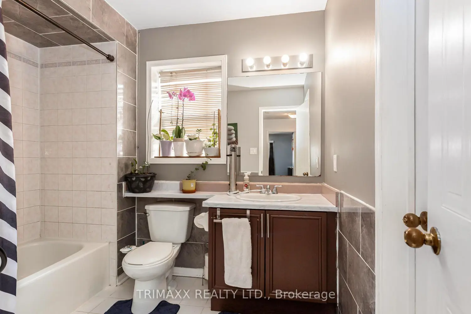 Additional image 17 of 62 Brisbane Court