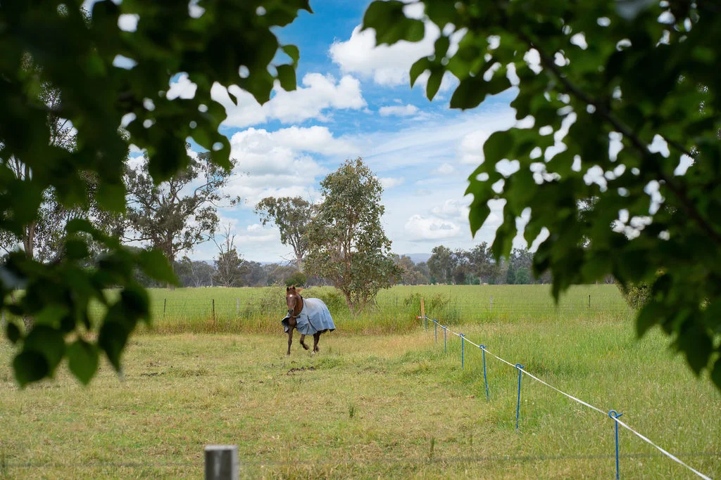 Additional image 39 of 785 Benalla-Tatong Road, Benalla VIC 3672