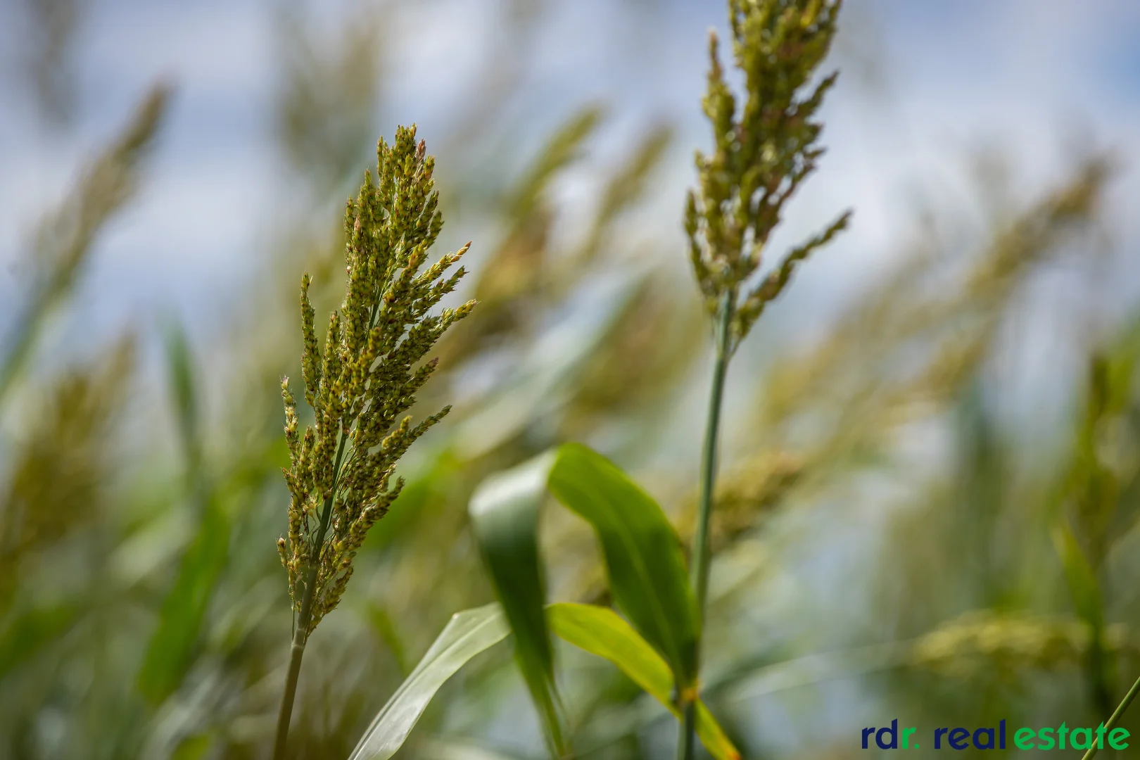 Additional image 17 of 394 Yetman Road, Inverell NSW 2360