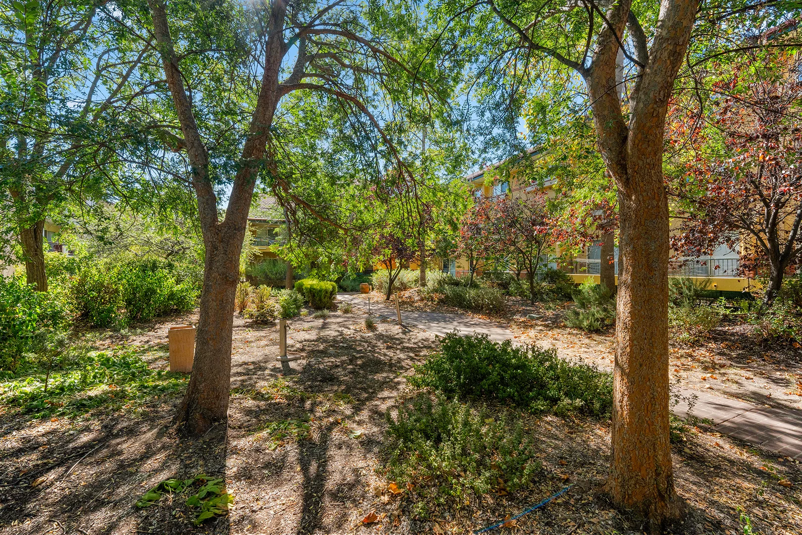 Additional image 18 of 43/25 Fawkner Street, Braddon ACT 2612