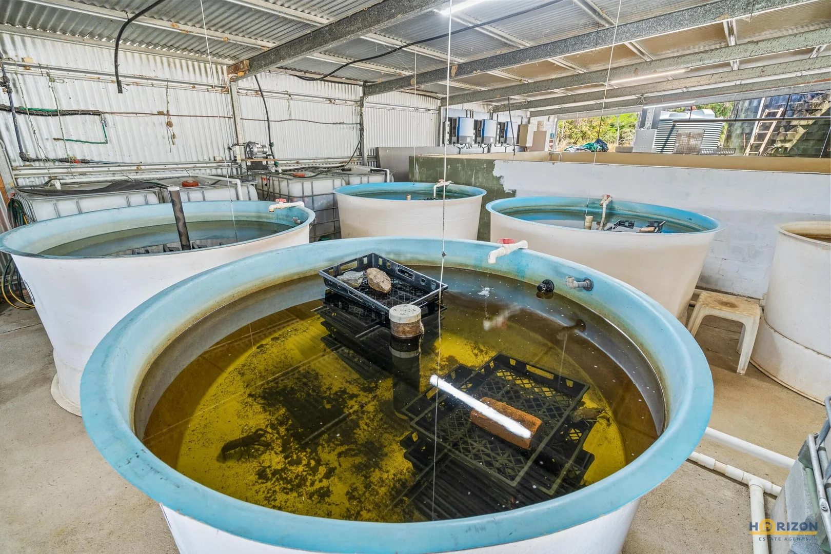 Additional image 22 of 586 Hodzic Road, Biboohra QLD 4880