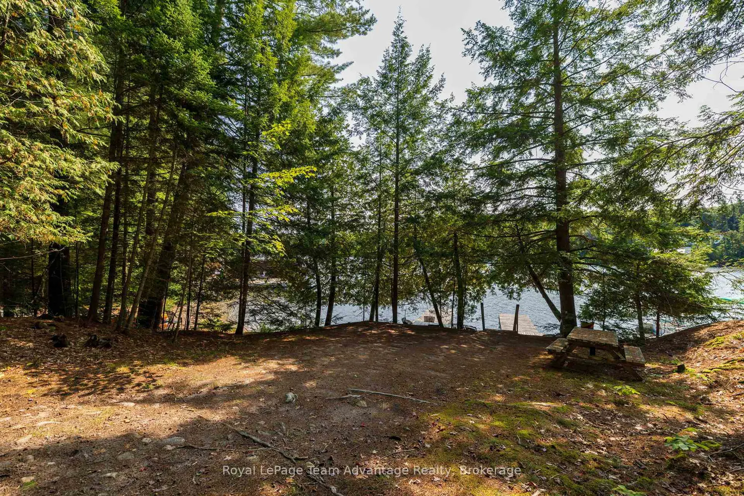 Additional image 12 of 11 Veronica Gene Lane