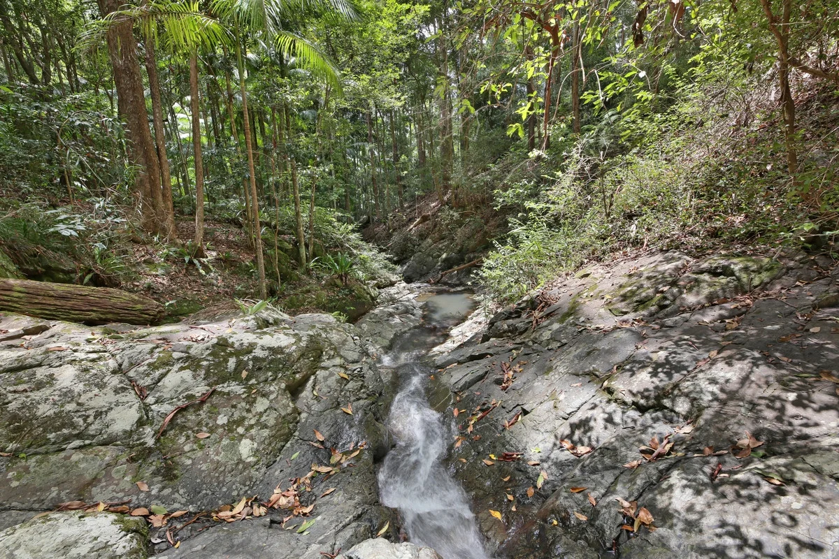 Additional image 27 of 138 Araluen Road, Tallebudgera Valley QLD 4228