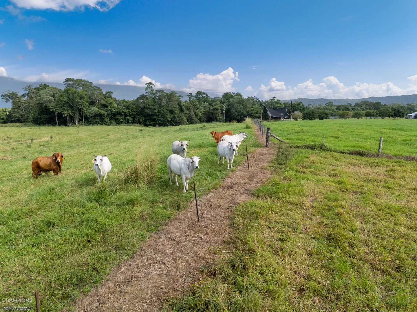 Additional image 2 of 472 Miallo Bamboo Creek Road, Bamboo QLD 4873