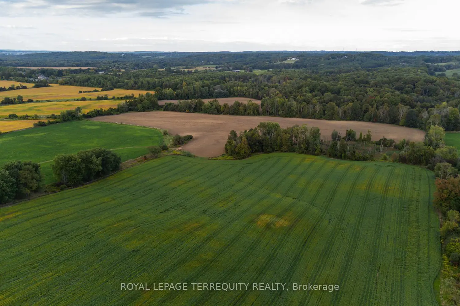 Additional image 19 of 15625 8Th Concession Road