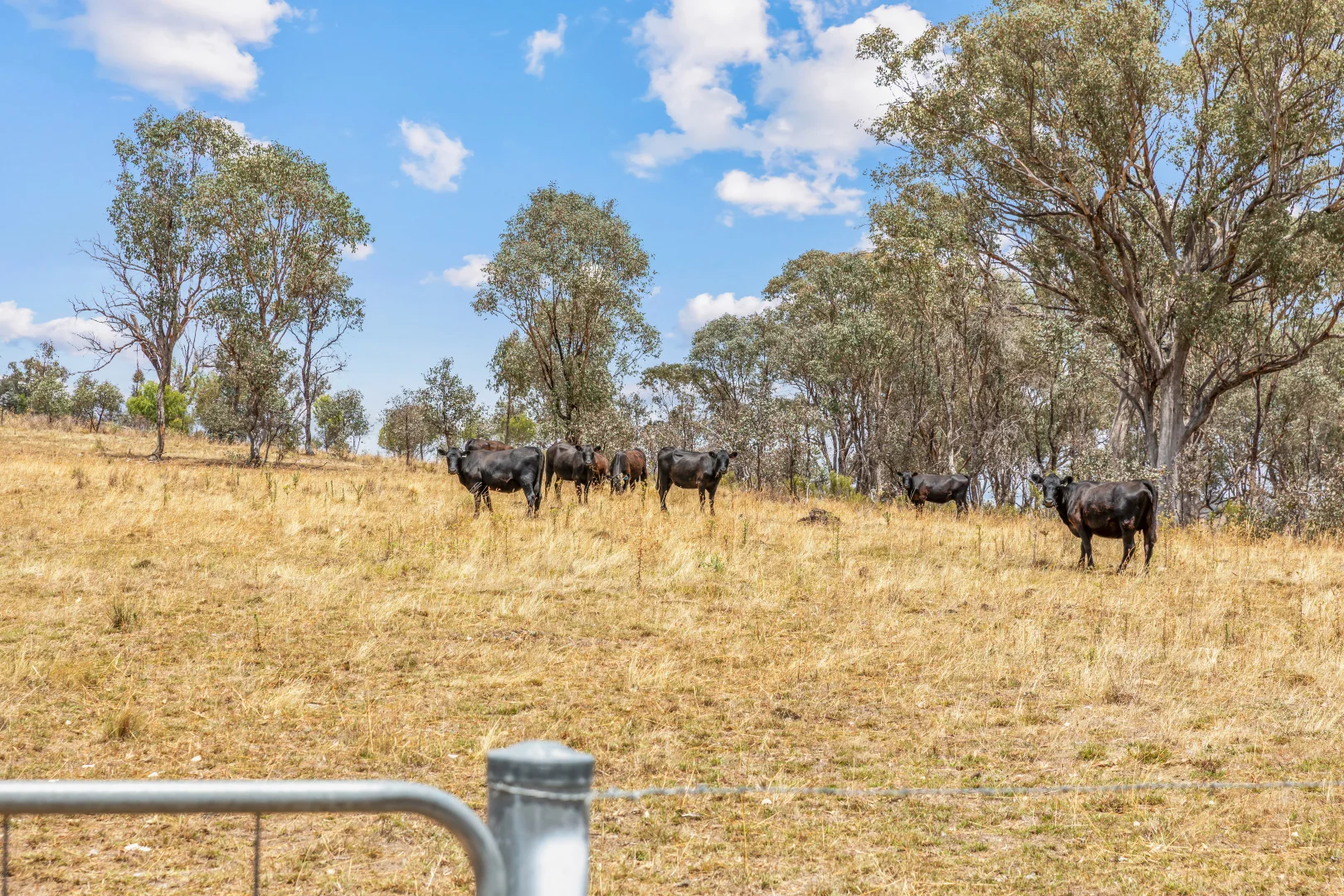 Additional image 5 of 748 Turondale Road, Duramana NSW 2795