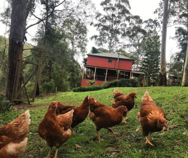 Additional image 21 of Bandon Grove NSW 2420