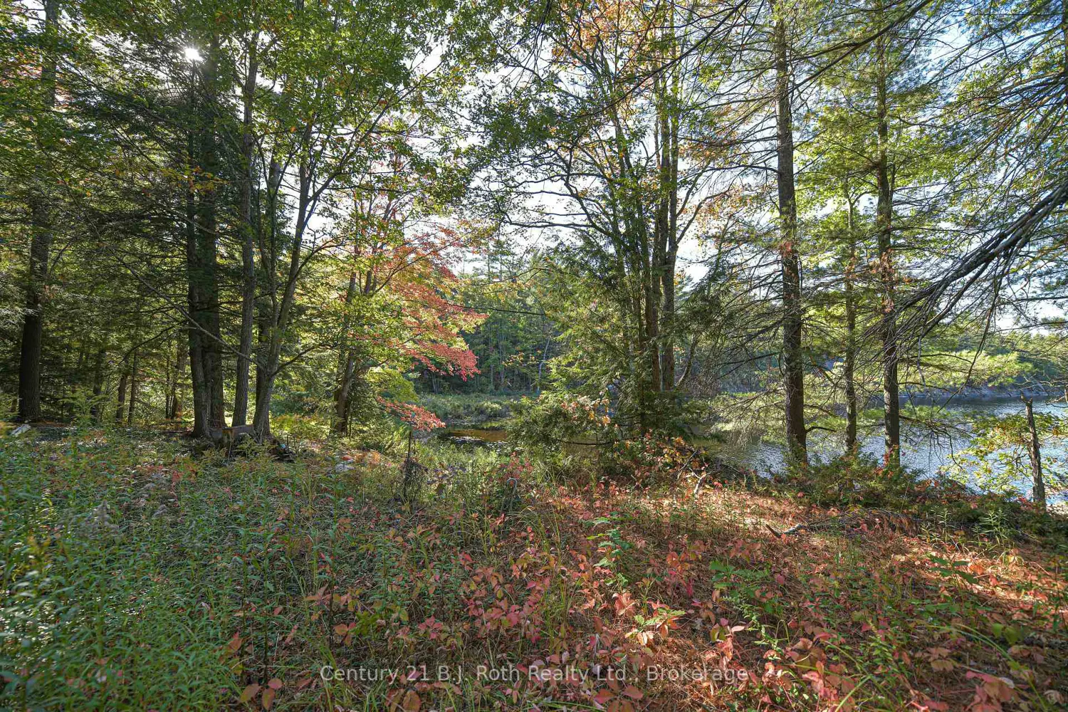 Additional image 16 of 1112 Sam Cook Road 2