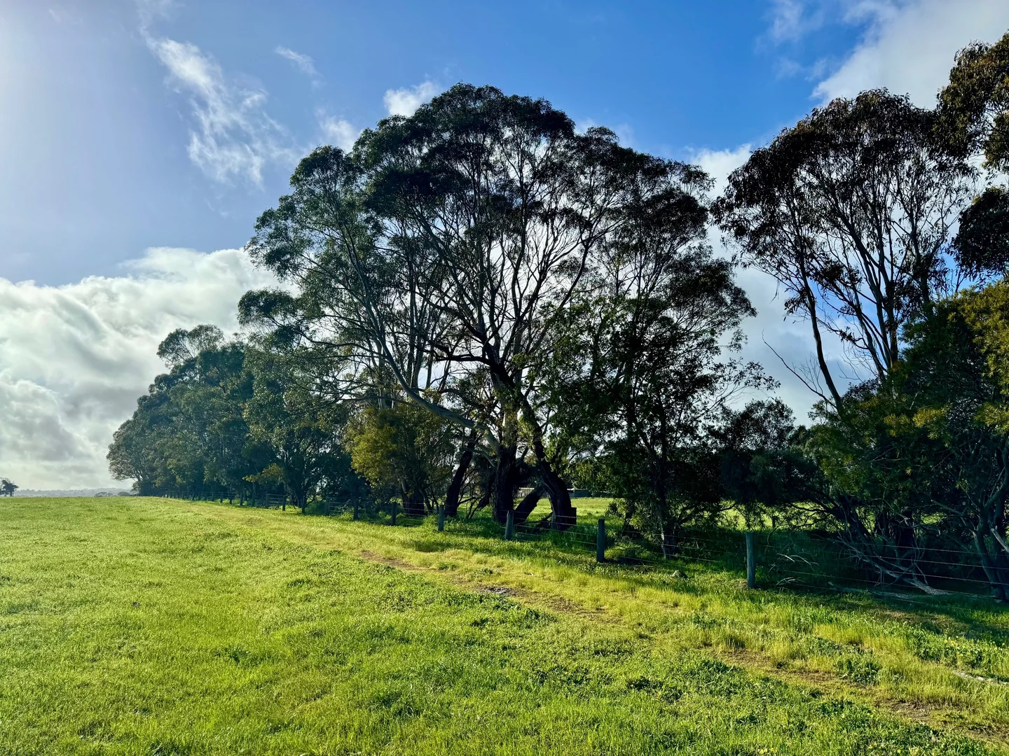 Additional image 2 of 1075 Larpent Road, Larpent VIC 3249