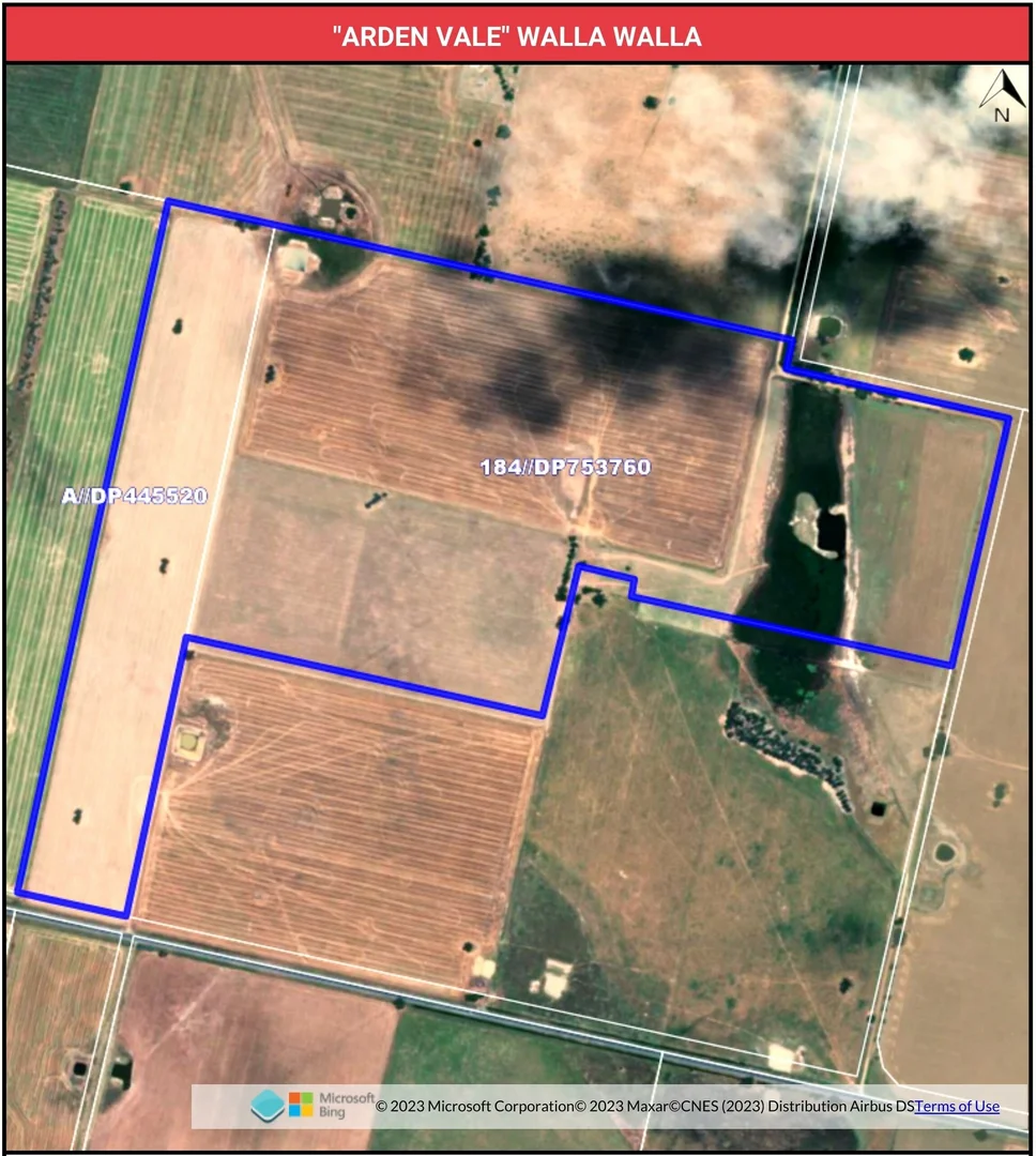 Additional image 7 of 'Arden Vale' Walbundrie Road, Walla Walla NSW 2659