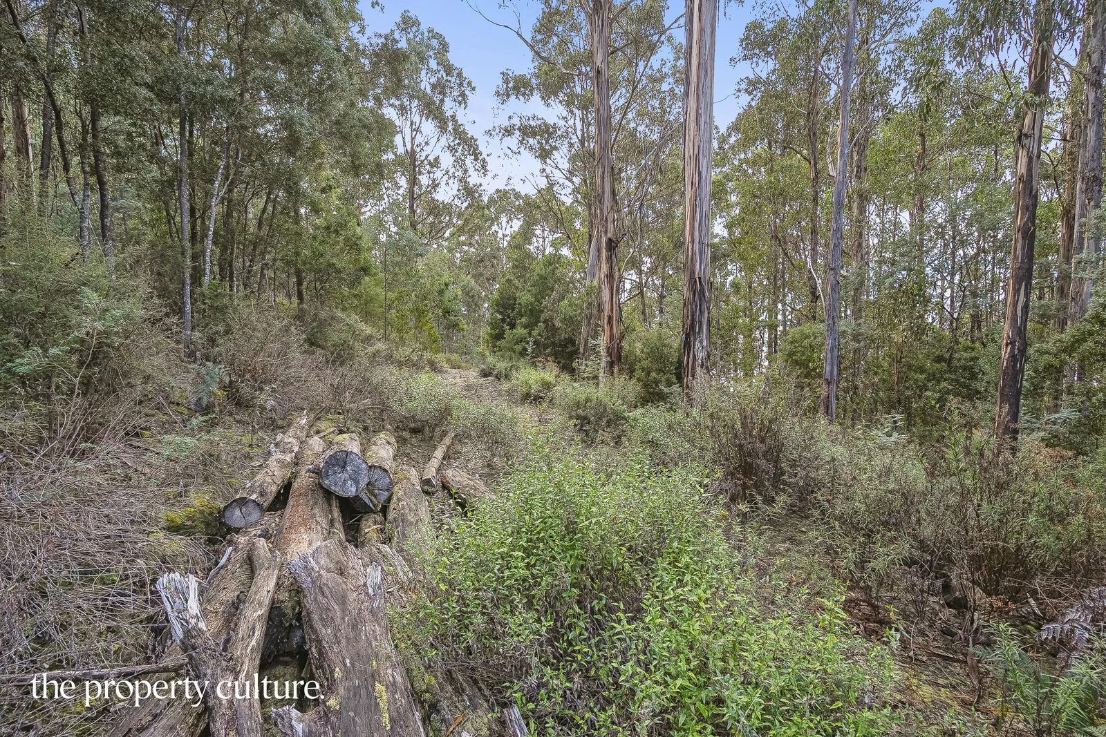 Additional image 18 of 2 Heriots Rise, Franklin TAS 7113