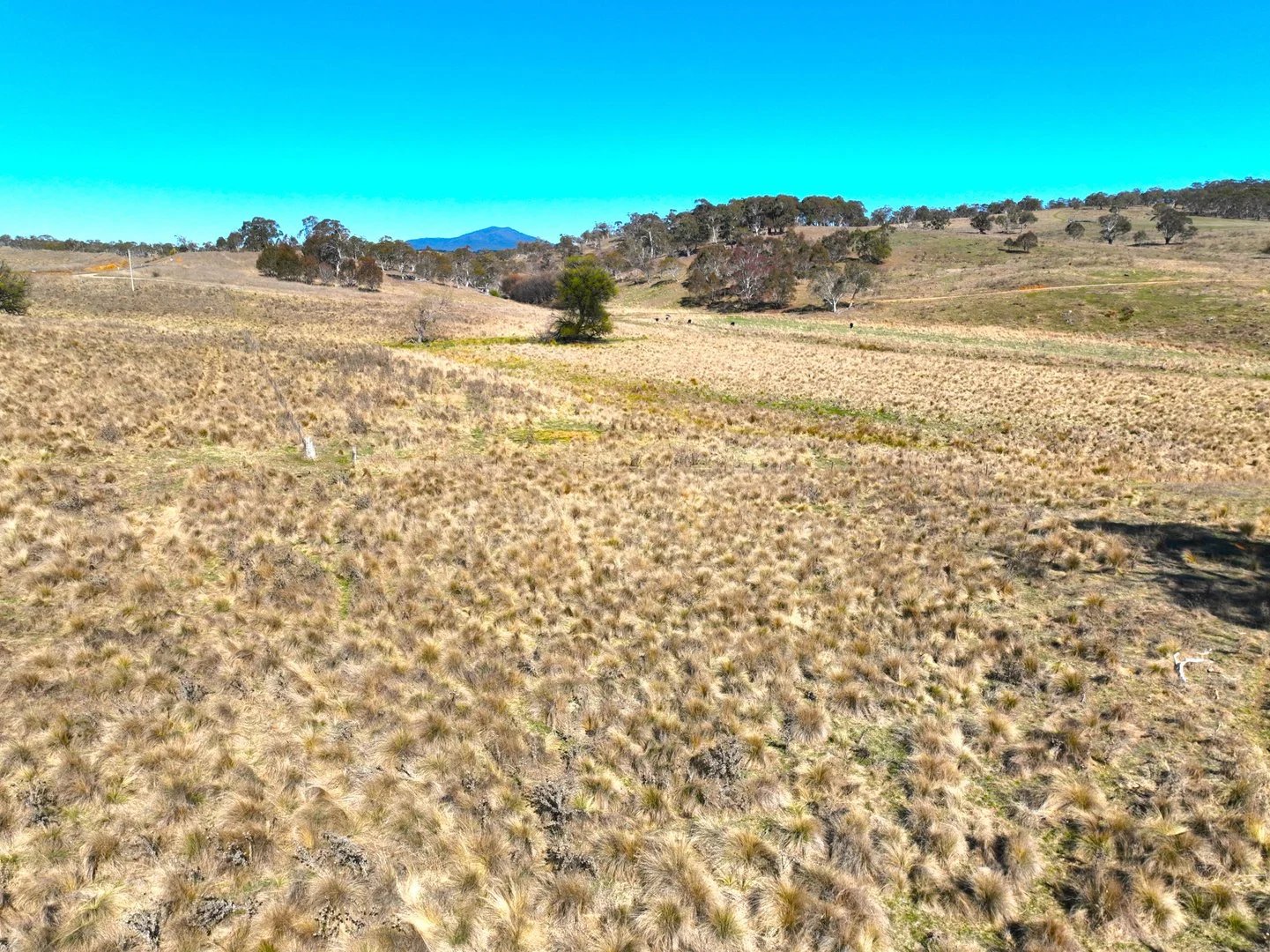 Additional image 6 of Lot 68 Delegate Road, Delegate NSW 2633