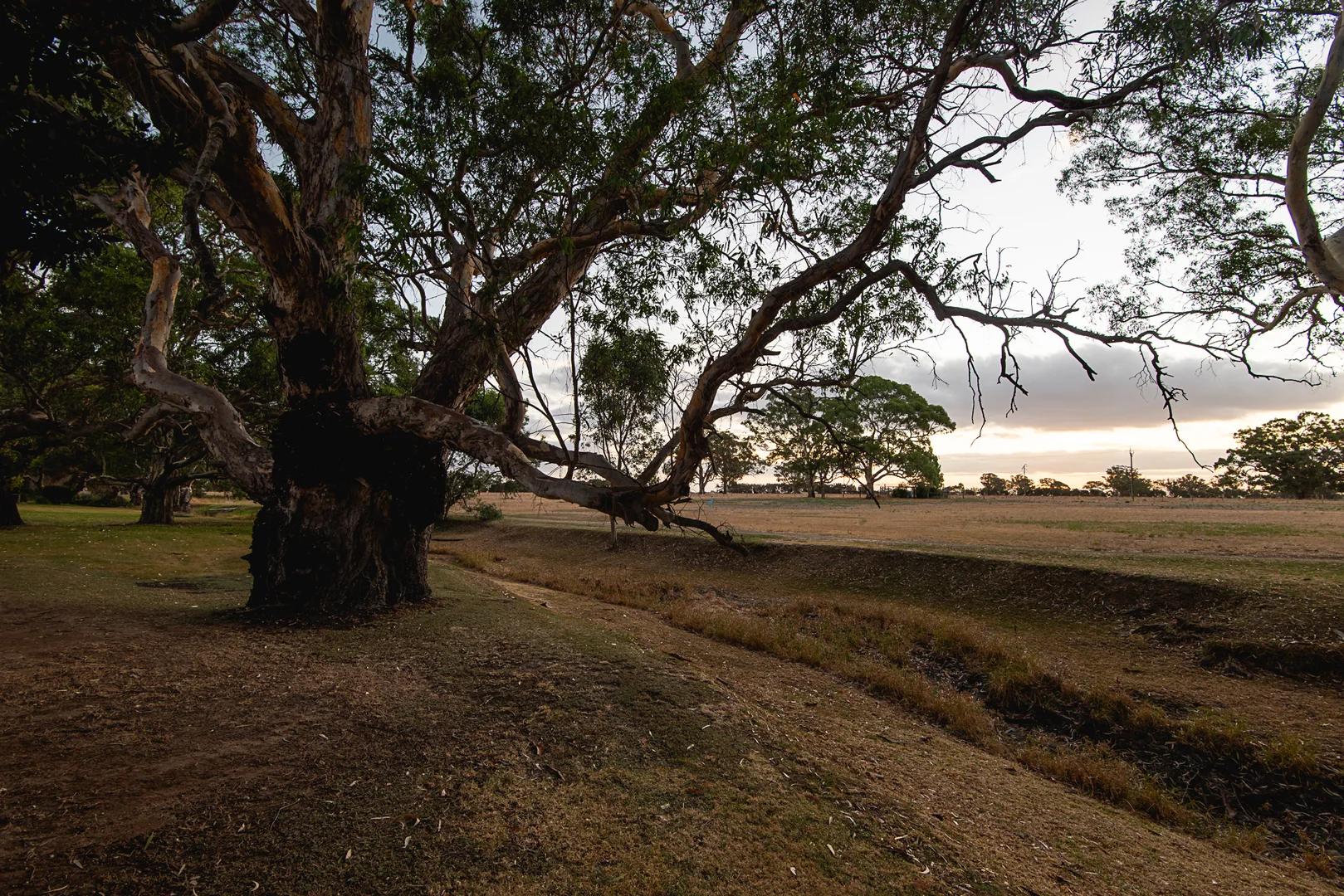 Additional image 27 of 2 Dartmoor Close, Naracoorte SA 5271