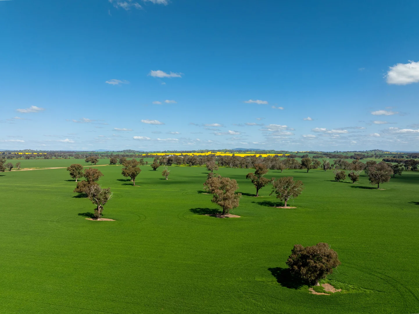 Additional image 20 of 484 Merri Meric Road, Henty NSW 2658