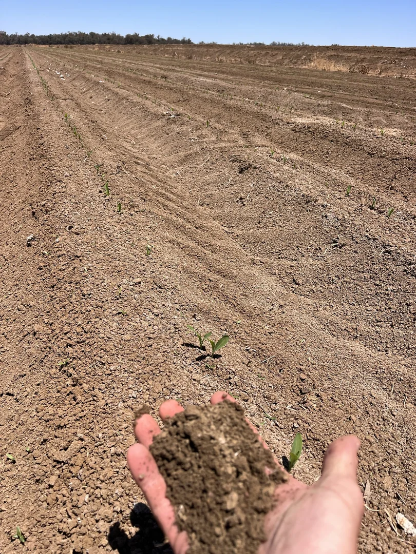 Additional image 7 of 4005 Lachlan Valley Way, Forbes NSW 2871