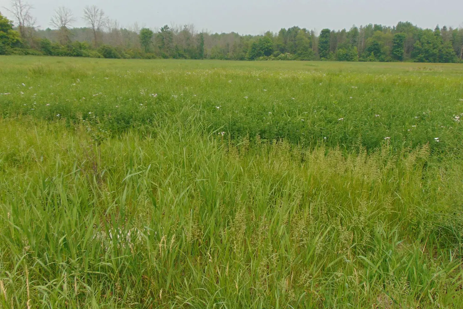 Additional image 3 of 00 Charleville Road