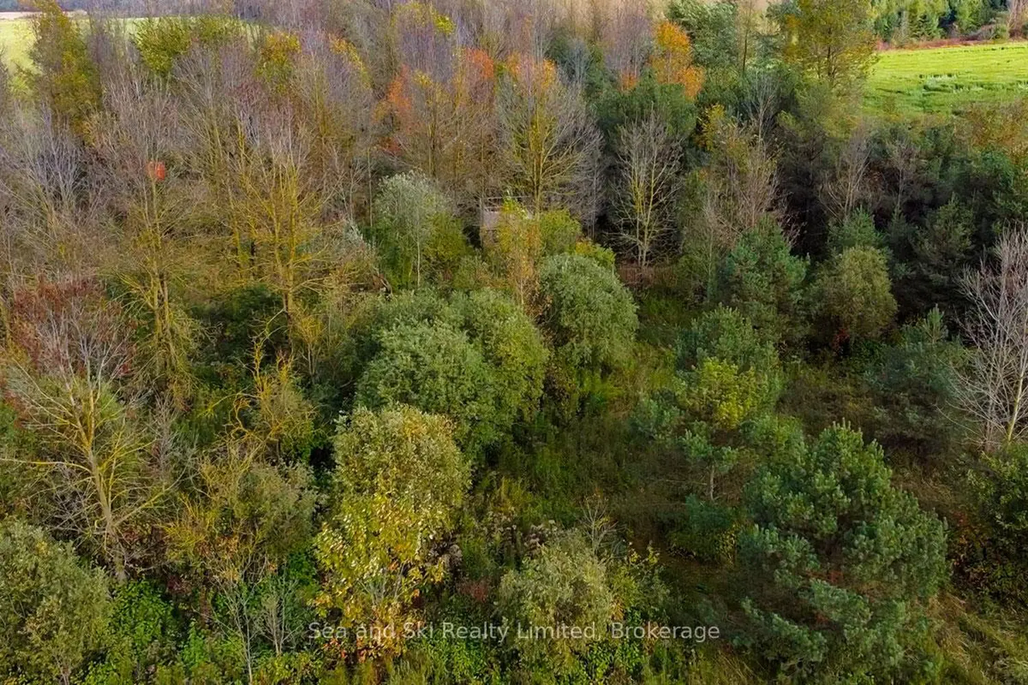 Additional image 4 of 31313 Grey Road 14 Road