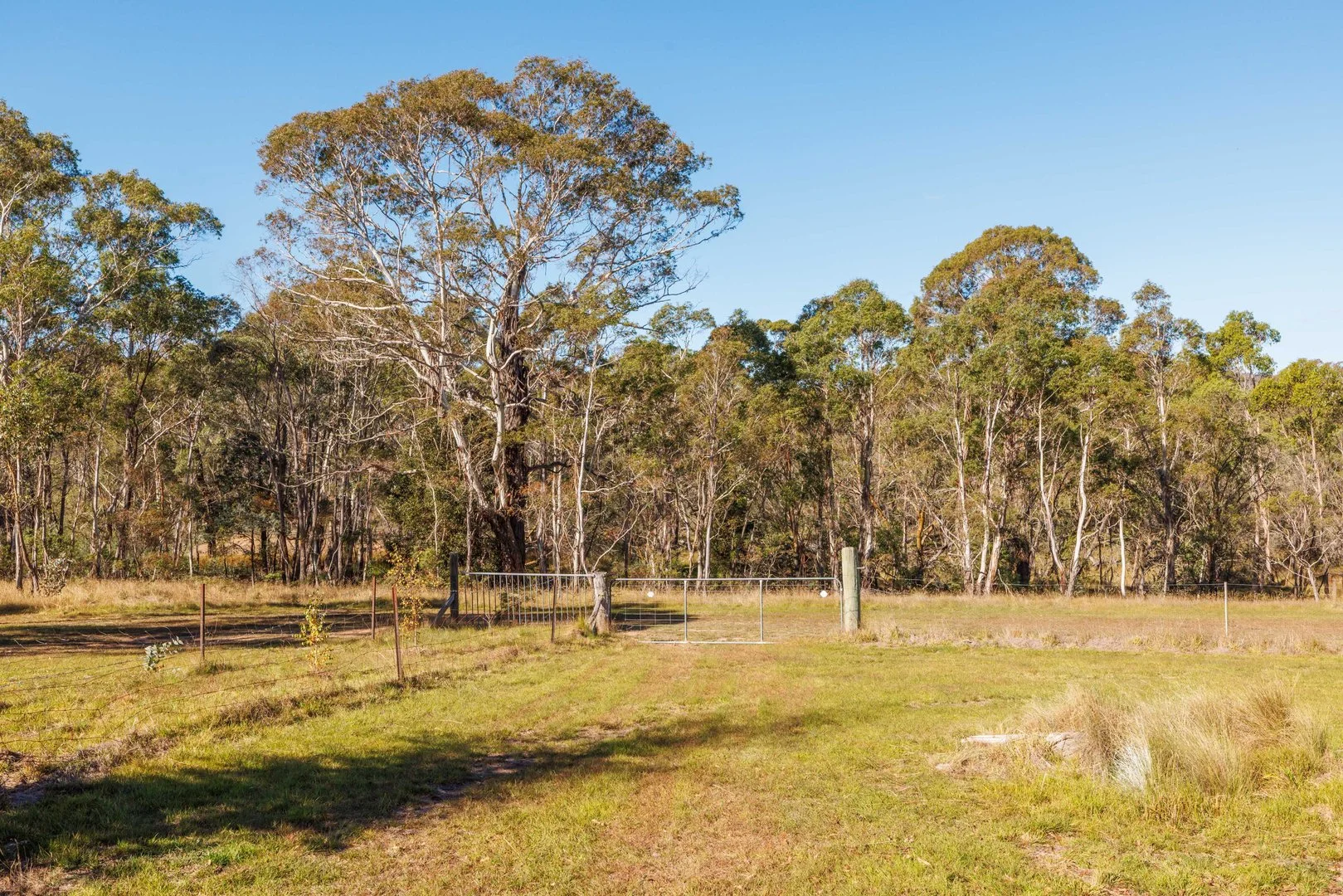 Additional image 20 of 91 Rosehill Road, Bombala NSW 2632