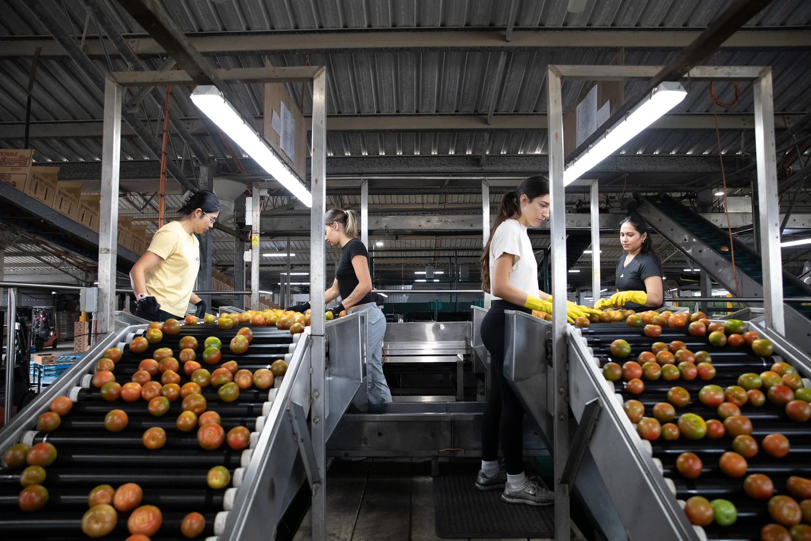 Additional image 14 of 37 Inveroona Road, Bowen QLD 4805