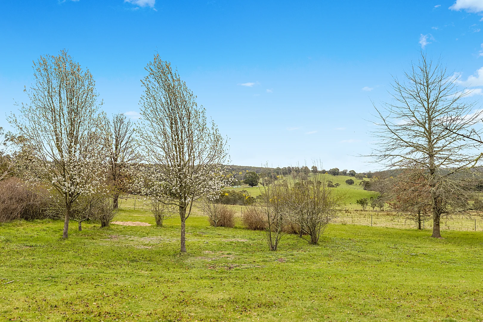Additional image 33 of 171 Big Flat Road, Bombala NSW 2632