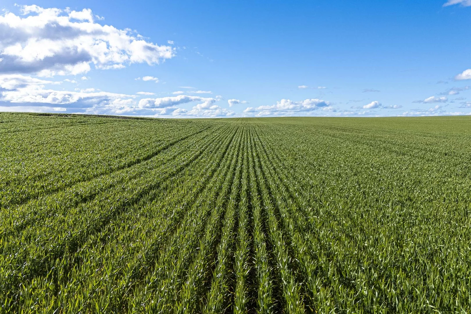 Additional image 5 of Midlands Road, Marchagee WA 6515