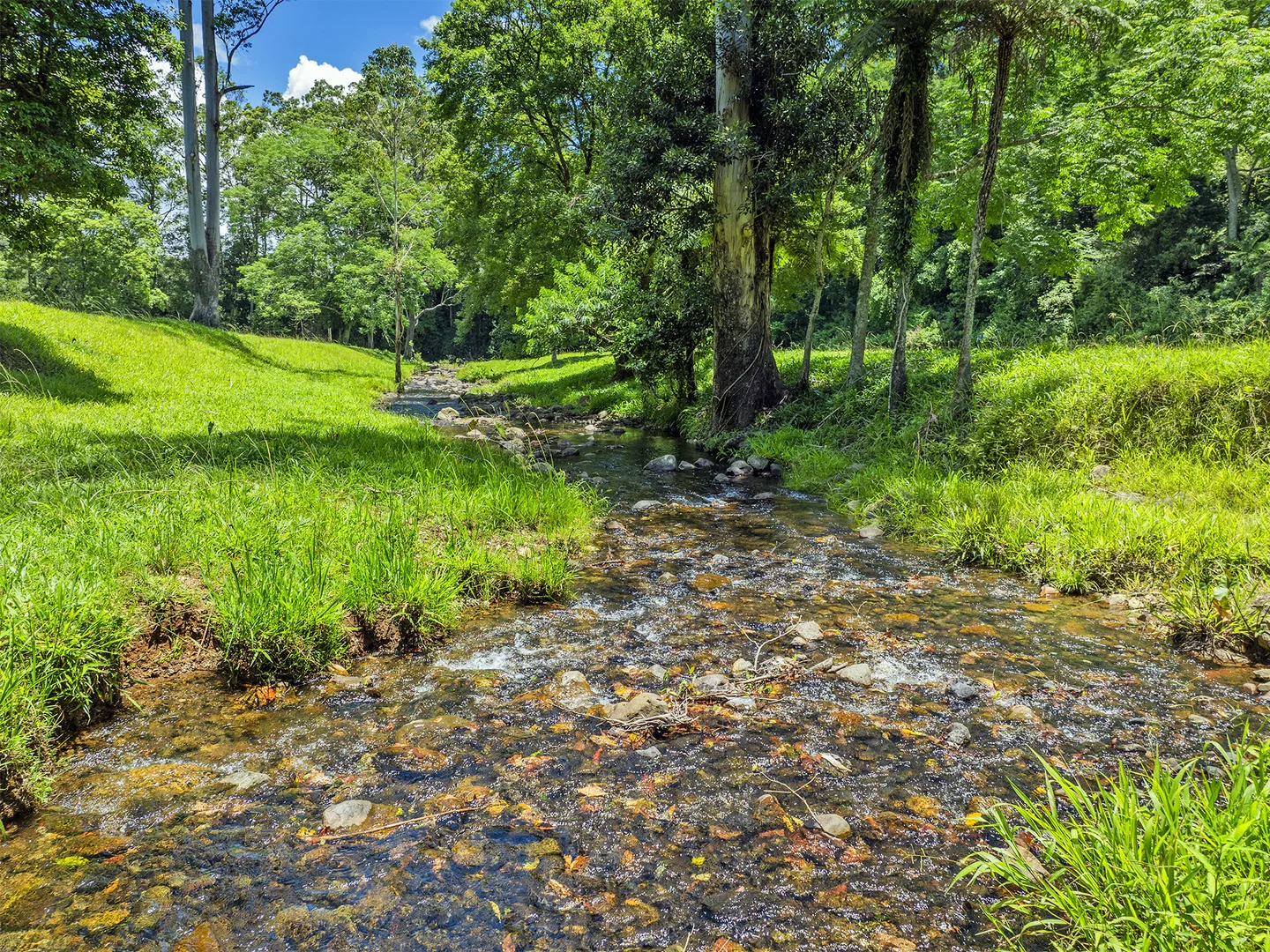 Additional image 4 of 650 Darkwood Road, Thora NSW 2454