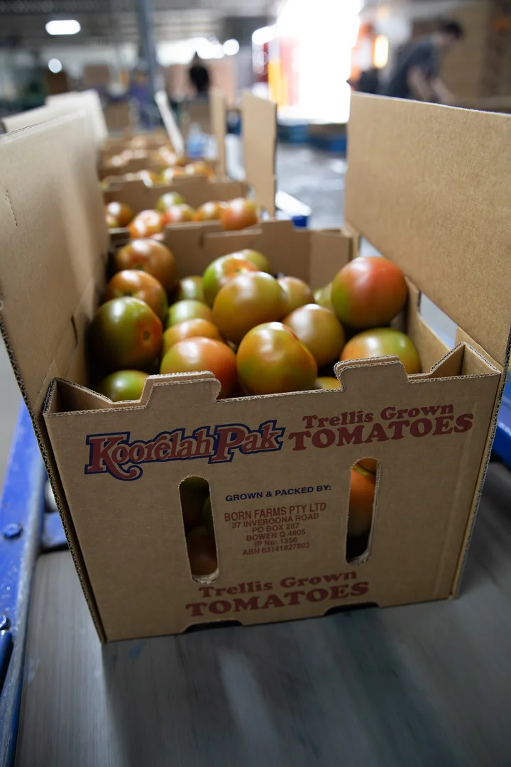 Additional image 20 of 37 Inveroona Road, Bowen QLD 4805