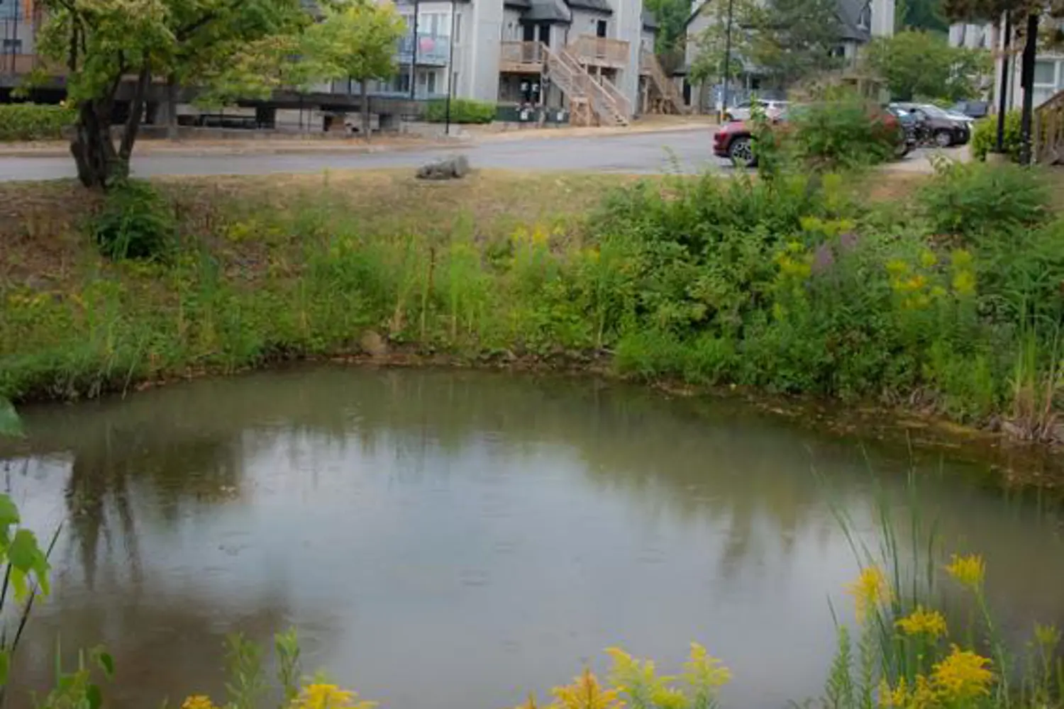 Additional image 18 of 796468 Grey 19 Road 110