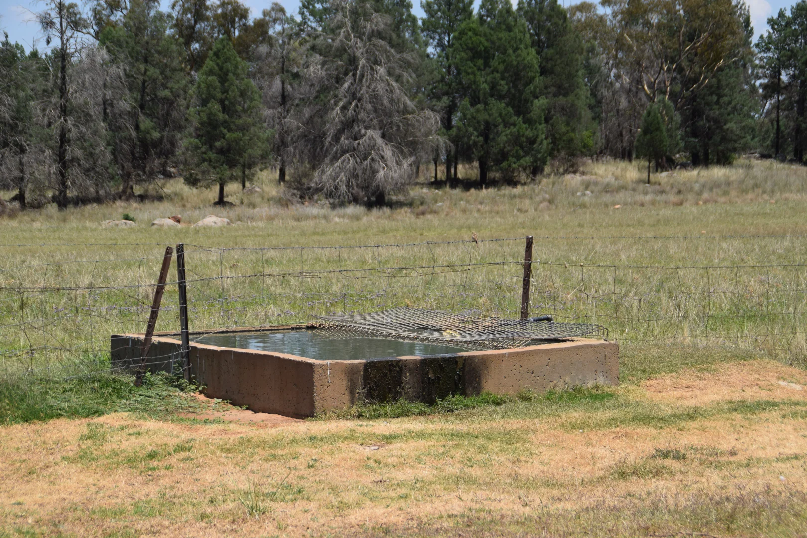 Additional image 18 of 'Illapa' 238L Narromine Road, Dubbo NSW 2830