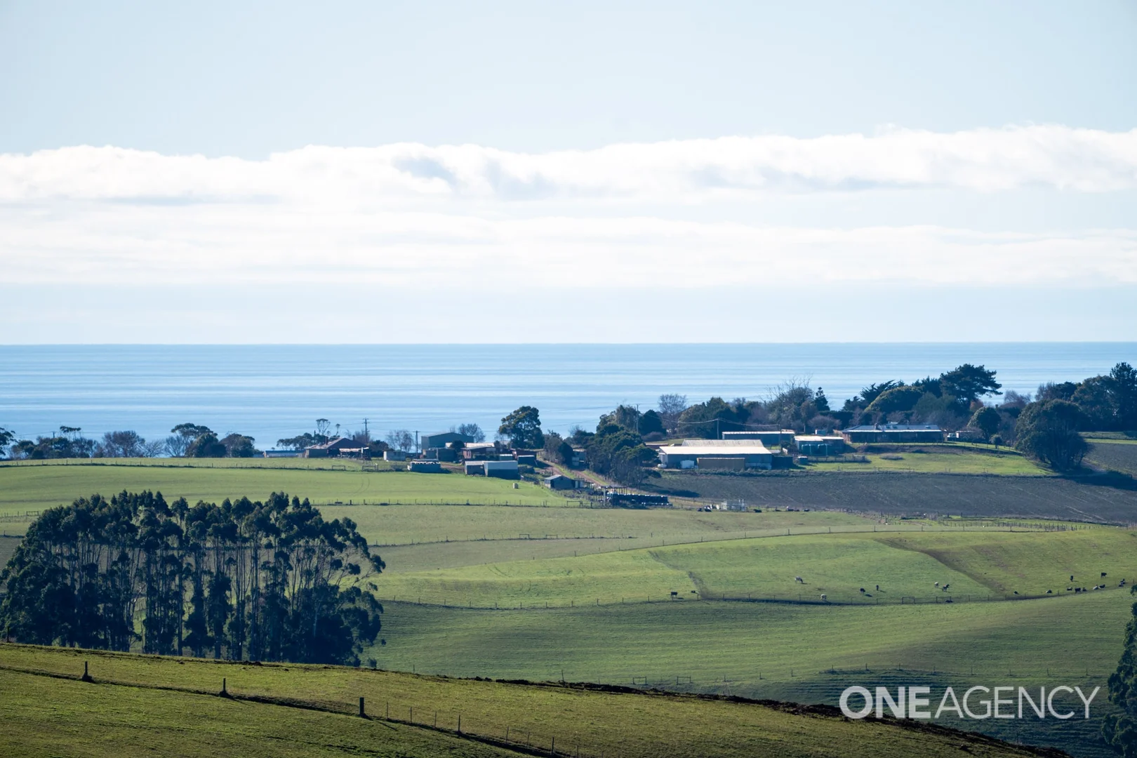Additional image 10 of 455 Preolenna Road, Flowerdale TAS 7325