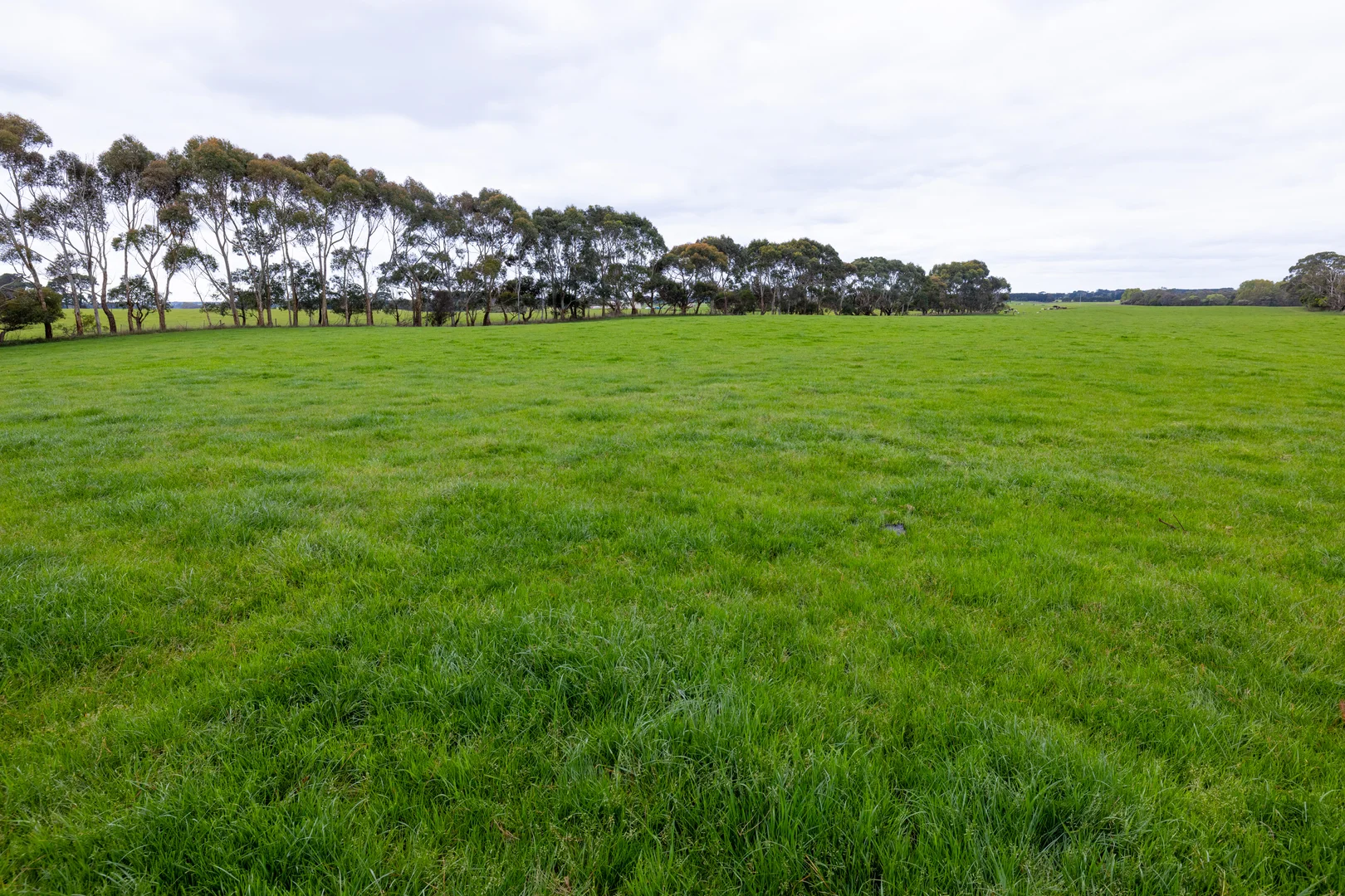 Additional image 27 of 115 Begleys Road, Allansford VIC 3277