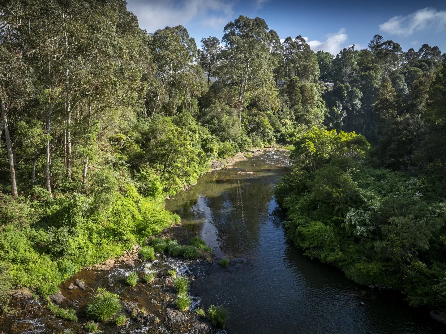 Additional image 21 of 294 Coramba Road, Dorrigo NSW 2453