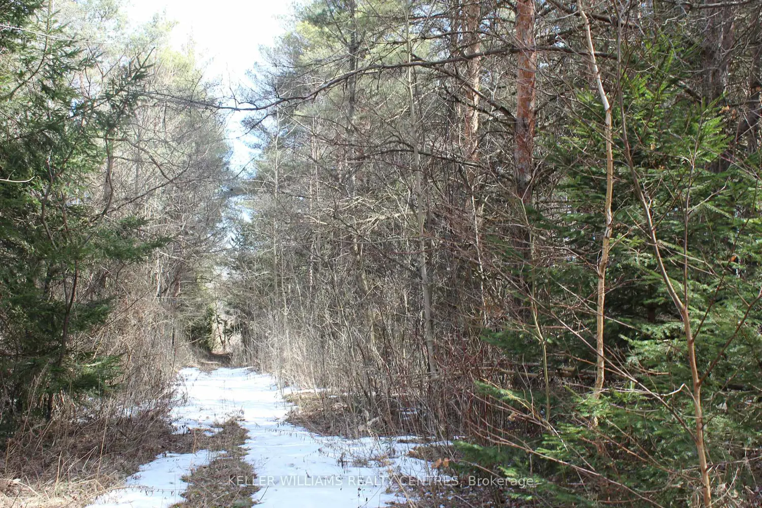 Additional image 2 of Tba Concession Rd 2