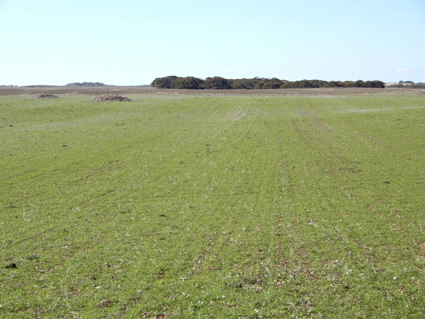 Additional image 15 of 281 Kielow Road, Peake SA 5301