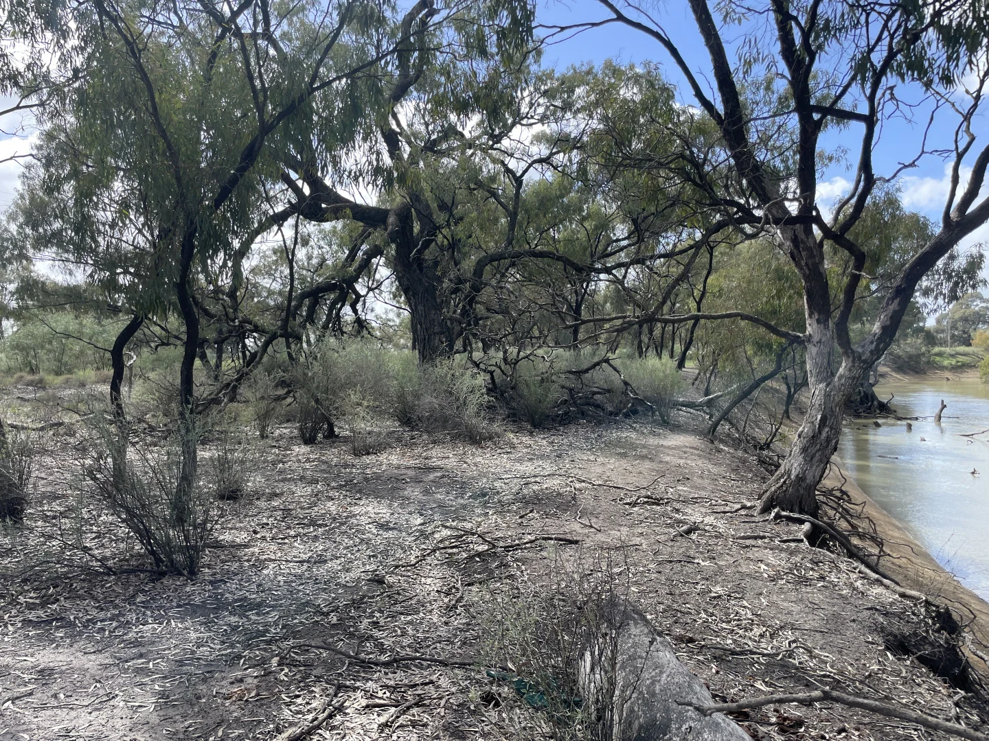 Additional image 5 of 'Fishers' 174 Balranald Road, Moulamein NSW 2733