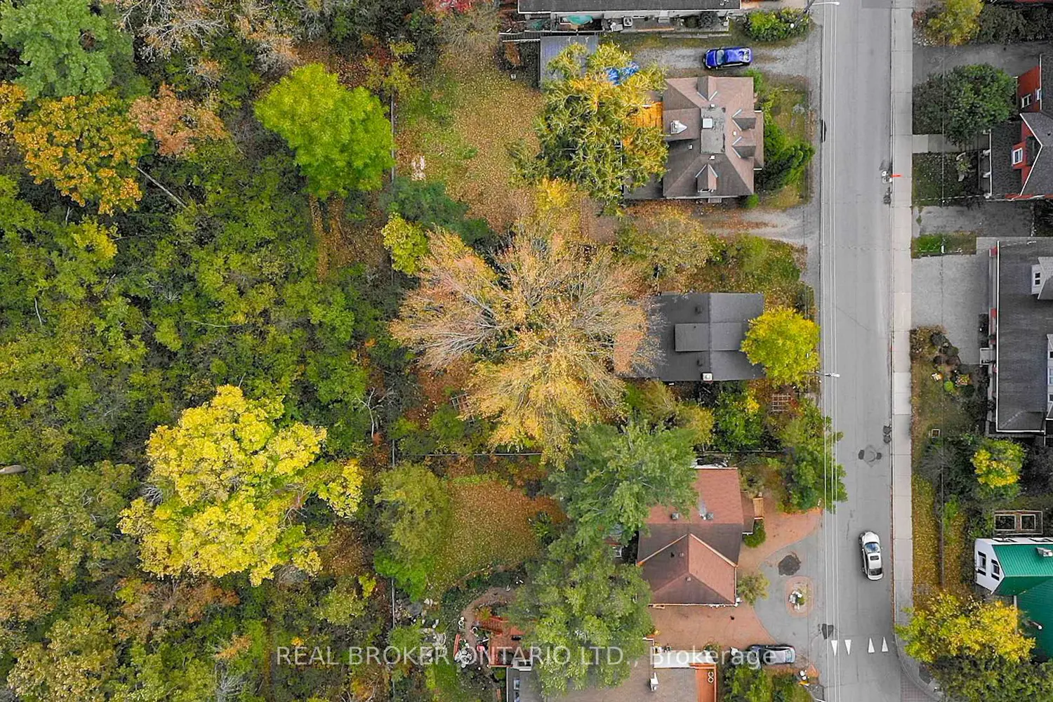 229 Britannia Road photo 3