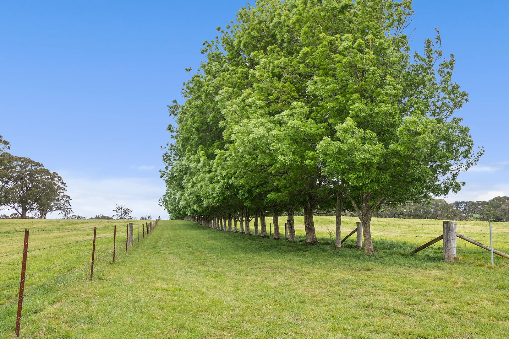 Additional image 17 of Exeter NSW 2579