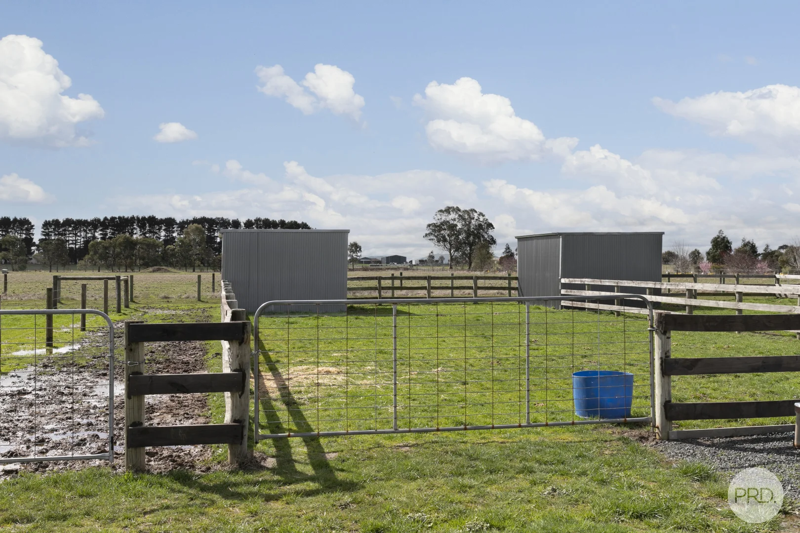 Additional image 13 of 62 Wiggins Road, Mitchell Park VIC 3355