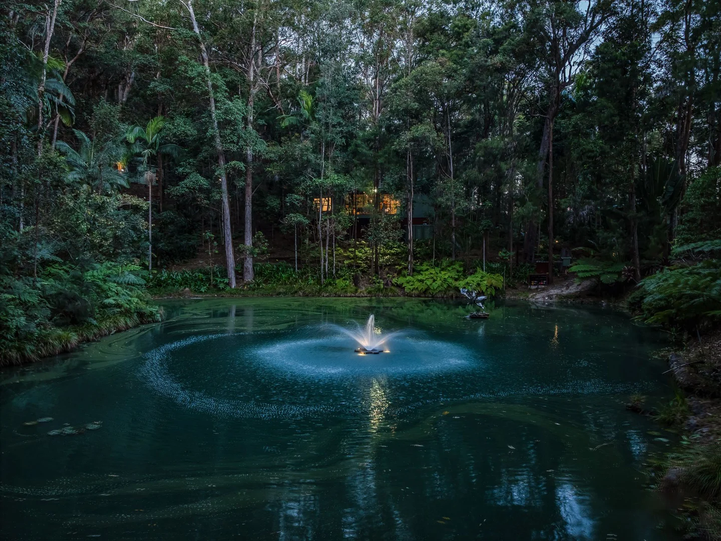 Additional image 15 of 1110 Urliup Road, Urliup NSW 2484