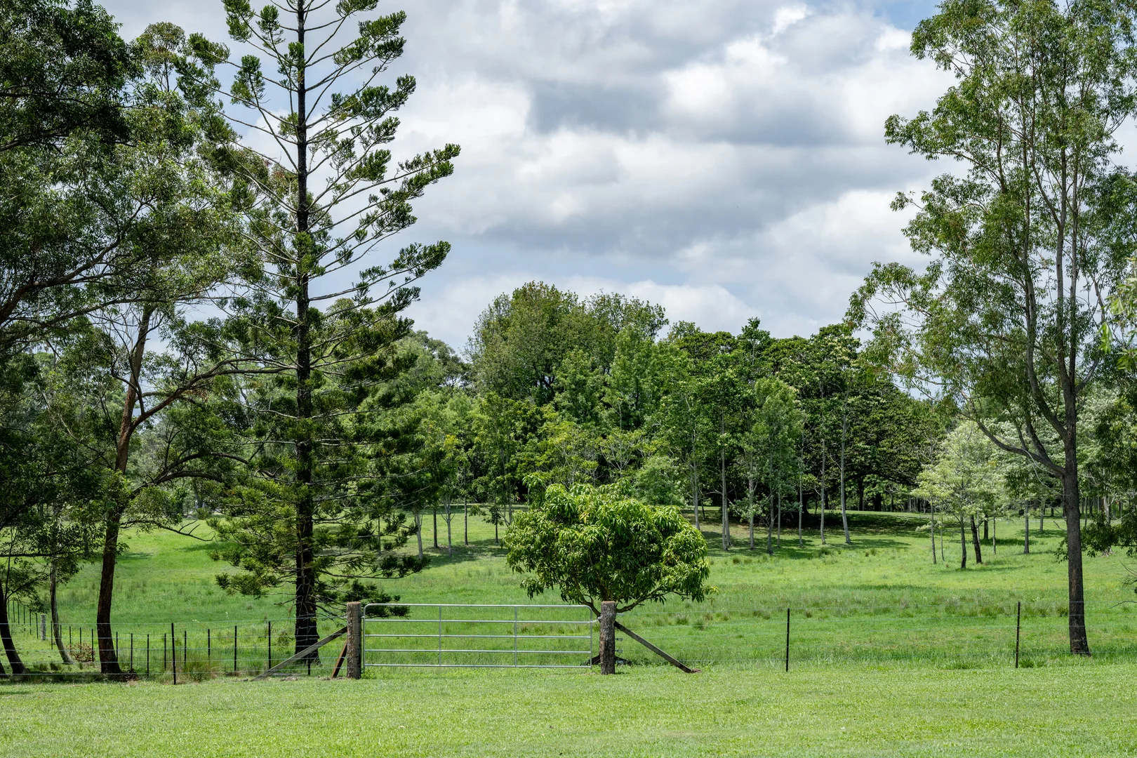 Additional image 18 of 239 Parsons Road, Coondoo QLD 4570