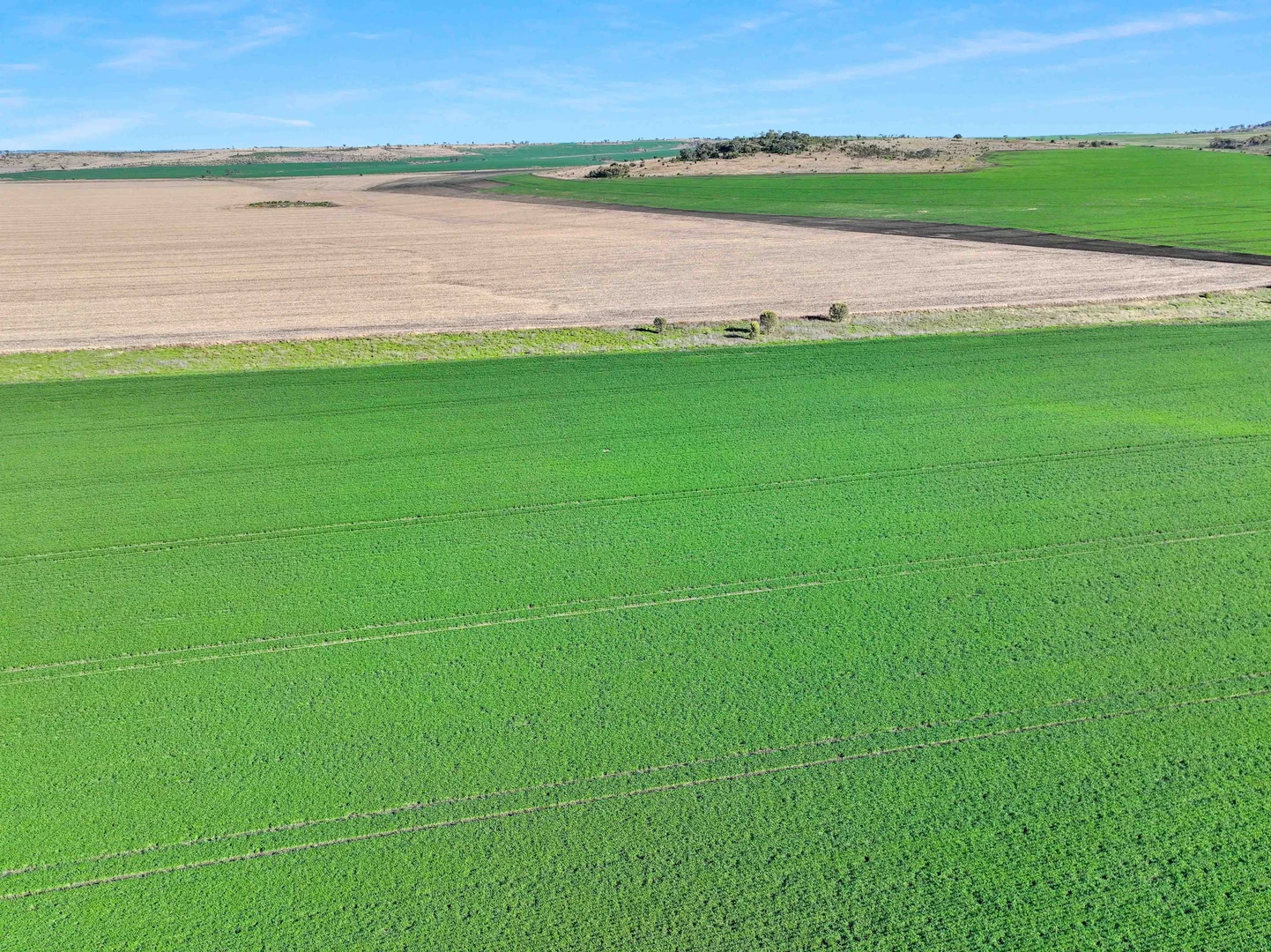 Additional image 3 of Croppa Creek NSW 2411