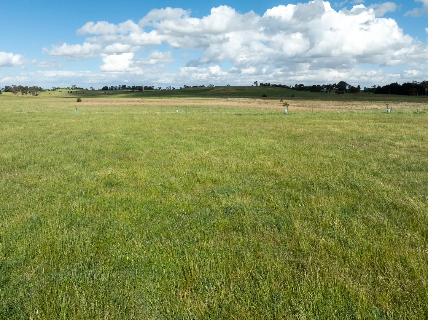 Additional image 4 of 49 Eves Lane, Millthorpe NSW 2798