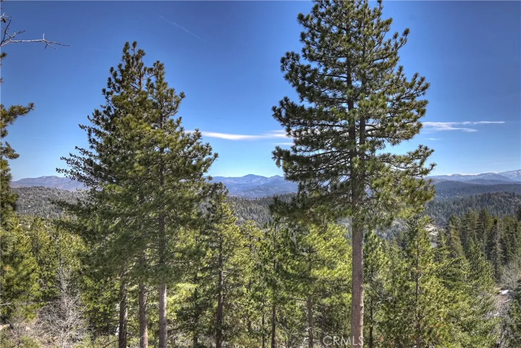 Additional image 114 of 26071 Walnut Hills Dr, Lake Arrowhead, CA 92352