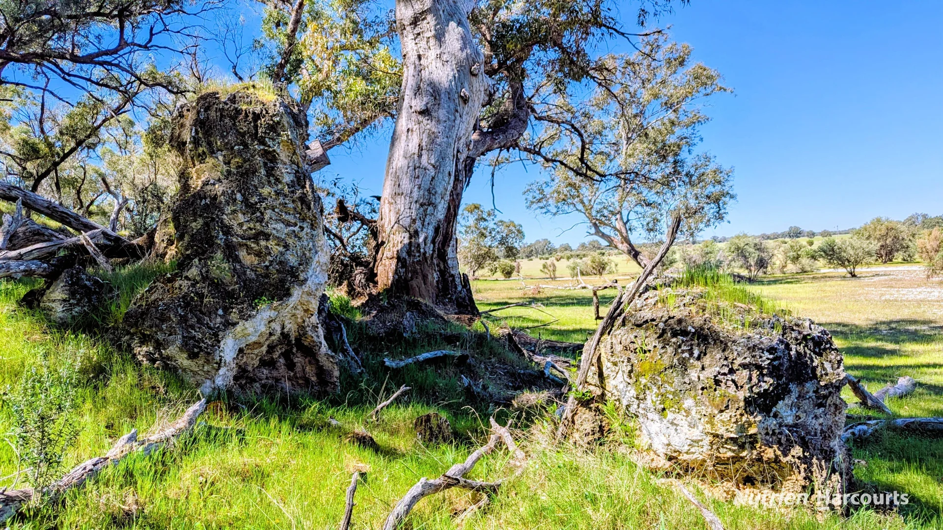 Additional image 7 of Lot 51 Millbank Road, Cowalla WA 6503