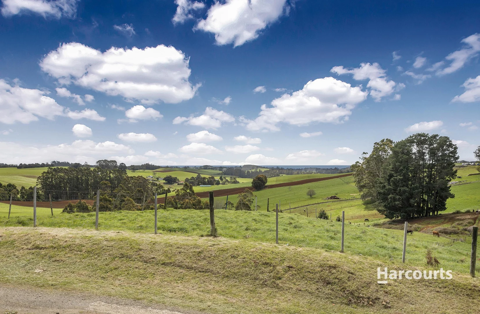 Additional image 30 of 734 Ridgley Highway, Ridgley TAS 7321