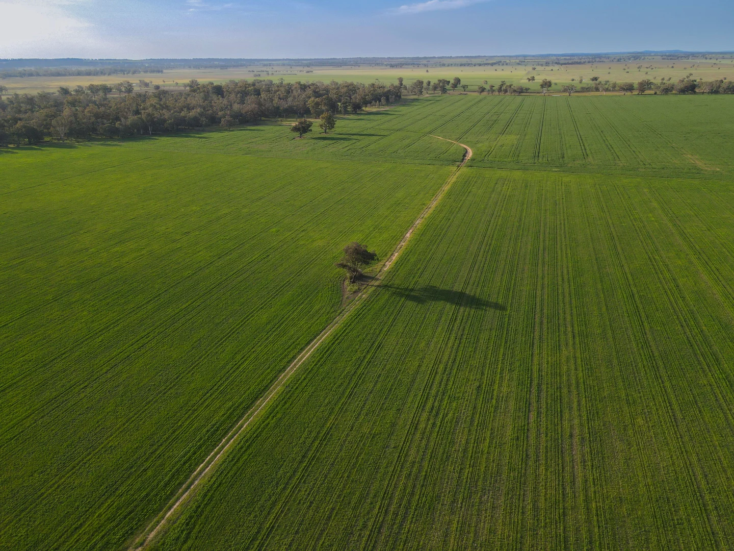 Additional image 17 of 11025 "Lima" The Escort Way, Forbes NSW 2871