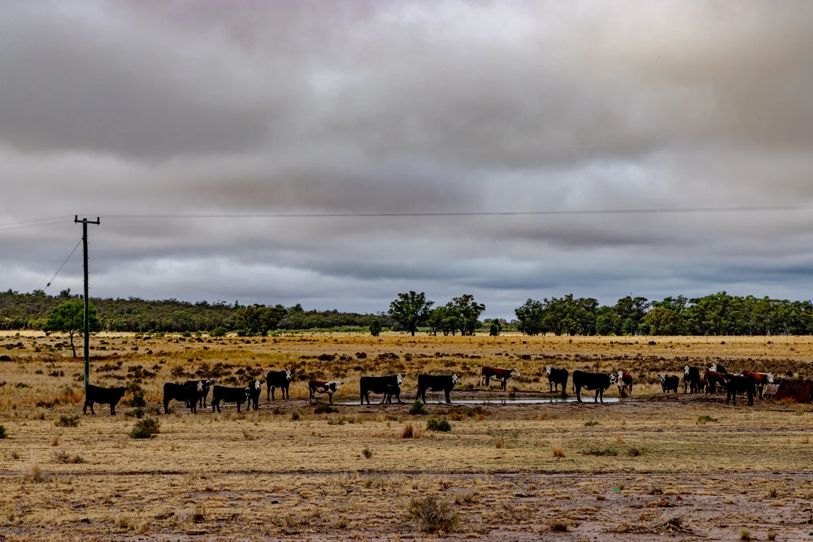 Additional image 19 of 'Woroona' & 'Tralee' 936 Boorr Hill Road, Parkes NSW 2870