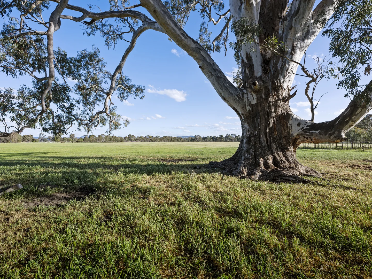 Additional image 36 of 290 Riggs Creek Road, Balmattum via, Euroa VIC 3666