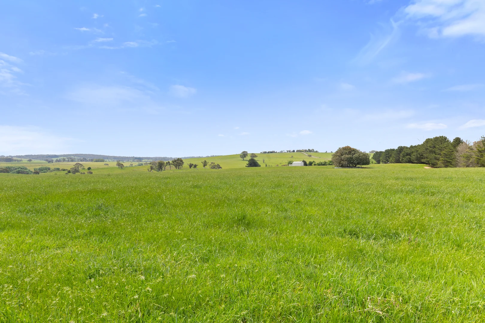 Additional image 38 of 192 Dawsons Creek Road Bannister Via, Crookwell NSW 2583